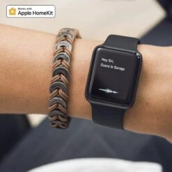 ISG-02WEU204 Récepteur Connecté Ultimate Lite Garage ISMARTGATE -Nice Boutique 1500x1500 siri 800x800