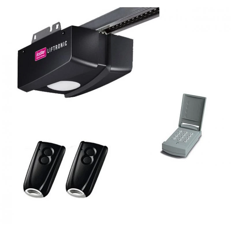 PACK LIFTRONIC 500 Avec Digicode Et 2 Télécommandes ECOSTAR
