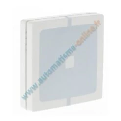 WM001C Module De Commande NICE WAY